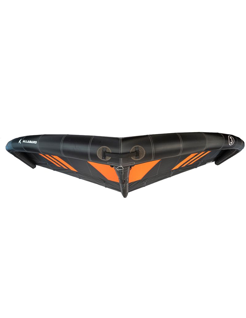 wing--4-