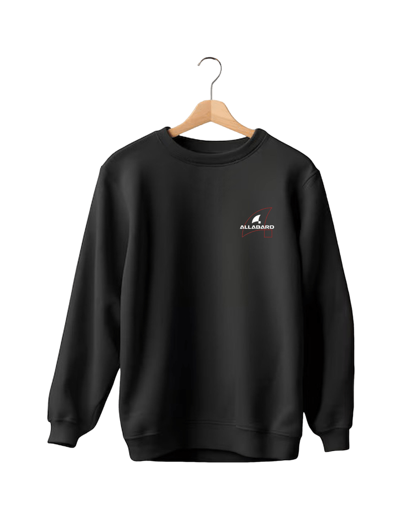 moletom raglan